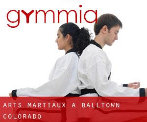 Arts Martiaux à Balltown (Colorado)