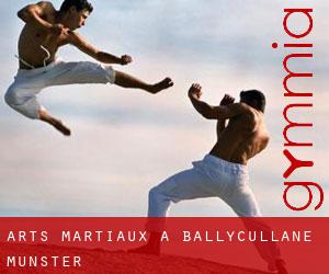 Arts Martiaux à Ballycullane (Munster)