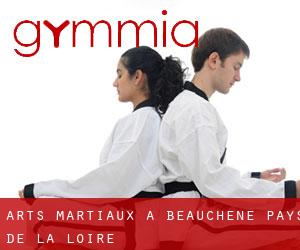 Arts Martiaux à Beauchêne (Pays de la Loire)