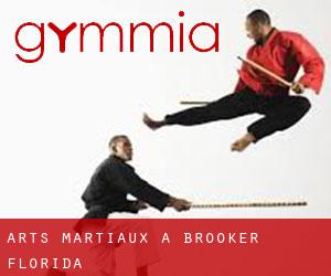 Arts Martiaux à Brooker (Florida)