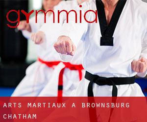 Arts Martiaux à Brownsburg-Chatham