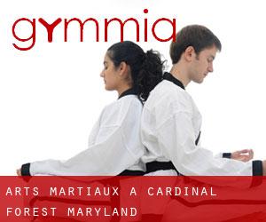 Arts Martiaux à Cardinal Forest (Maryland)
