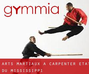 Arts Martiaux à Carpenter (État du Mississippi)
