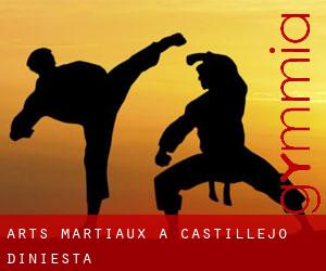 Arts Martiaux à Castillejo d'Iniesta