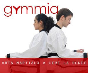 Arts Martiaux à Céré-la-Ronde