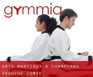 Arts Martiaux à Champvans (Franche-Comté)