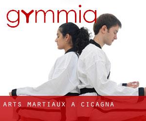 Arts Martiaux à Cicagna