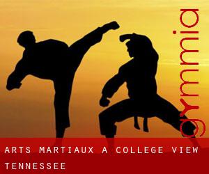 Arts Martiaux à College View (Tennessee)