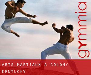 Arts Martiaux à Colony (Kentucky)