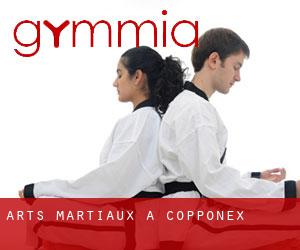 Arts Martiaux à Copponex