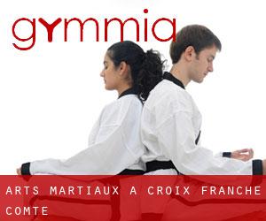 Arts Martiaux à Croix (Franche-Comté)