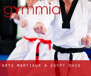 Arts Martiaux à Egypt (Ohio)