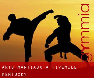 Arts Martiaux à Fivemile (Kentucky)