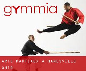 Arts Martiaux à Hanesville (Ohio)