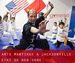 Arts Martiaux à Jacksonville (État de New York)