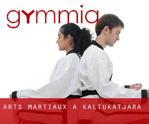 Arts Martiaux à Kaltukatjara