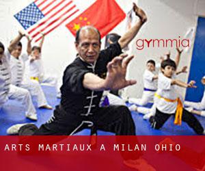 Arts Martiaux à Milan (Ohio)