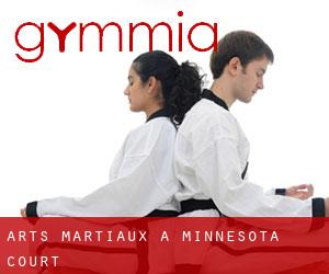 Arts Martiaux à Minnesota Court