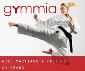 Arts Martiaux à Pritchett (Colorado)