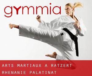 Arts Martiaux à Ratzert (Rhénanie-Palatinat)