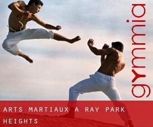 Arts Martiaux à Ray Park Heights