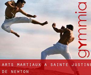 Arts Martiaux à Sainte-Justine-de-Newton