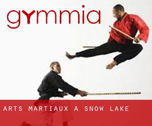 Arts Martiaux à Snow Lake