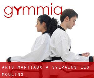 Arts Martiaux à Sylvains-les-Moulins