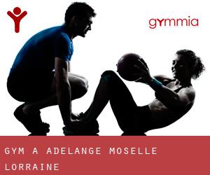 gym à Adelange (Moselle, Lorraine)
