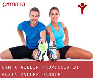 gym à Allein (Provincia di Aosta, Vallée d'Aoste)