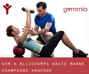 gym à Allichamps (Haute-Marne, Champagne-Ardenne)