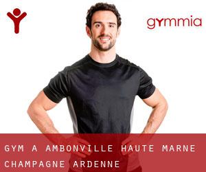 gym à Ambonville (Haute-Marne, Champagne-Ardenne)