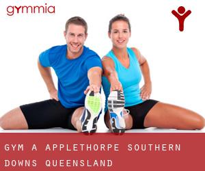 gym à Applethorpe (Southern Downs, Queensland)