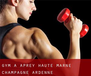 gym à Aprey (Haute-Marne, Champagne-Ardenne)
