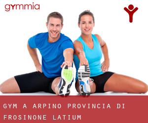 gym à Arpino (Provincia di Frosinone, Latium)