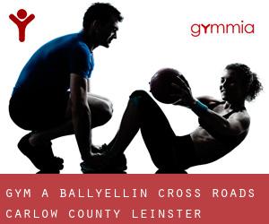 gym à Ballyellin Cross Roads (Carlow County, Leinster)