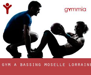 gym à Bassing (Moselle, Lorraine)