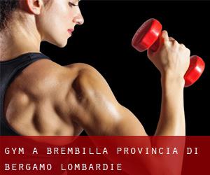 gym à Brembilla (Provincia di Bergamo, Lombardie)
