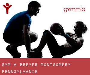 gym à Breyer (Montgomery, Pennsylvanie)