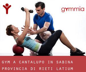 gym à Cantalupo in Sabina (Provincia di Rieti, Latium)