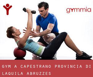gym à Capestrano (Provincia di L'Aquila, Abruzzes)