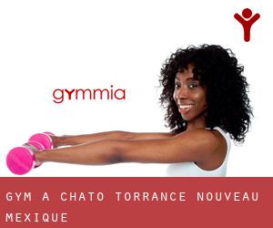 gym à Chato (Torrance, Nouveau-Mexique)