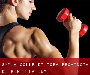 gym à Colle di Tora (Provincia di Rieti, Latium)