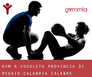 gym à Cosoleto (Provincia di Reggio Calabria, Calabre)