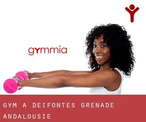gym à Deifontes (Grenade, Andalousie)