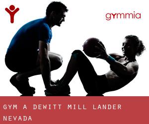 gym à Dewitt Mill (Lander, Nevada)