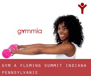 gym à Fleming Summit (Indiana, Pennsylvanie)