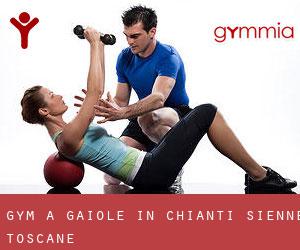 gym à Gaiole in Chianti (Sienne, Toscane)