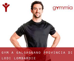 gym à Galgagnano (Provincia di Lodi, Lombardie)