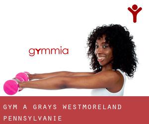 gym à Grays (Westmoreland, Pennsylvanie)